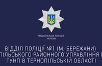 Бережанці двічі ошукали киянина: хтів виїхати закордон