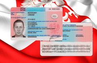 Українці отримали найбільше посвідок на проживання в EU: 83% з них — польські