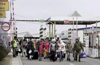Українці склали близько 8% населення Польщі