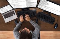 Майже кожен другий студент-ІТівець Львова знаходить роботу ще до випуску – дослідження