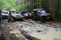 Зеленського просять впорядкувати джипинґ в Карпатах
