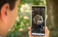 Затриманого біля кордону з компасом втікача з кріпацтва оштрафували на 4,2 тис. грн