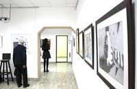 "Полюючи за тінню" – у Франківську відкрилася виставка художника‑переселенця Олександра Жильцова (ФОТО)