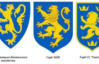 Верховний Суд України підтвердив відсутність нацистської символіки в емблемі дивізії СС «Галичина»