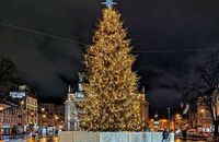 У Львові таки вирішили встановити головну новорічну ялинку