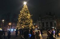 Головна ялинка Львова: "протитанковий їжак" замість Вифлеємської зірки