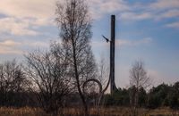 Західна Україна за минулий тиждень: «Загальна мобілізація» на Прикарпатті та знесення «пам’ятника Юлії Тимошенко» на Львівщині