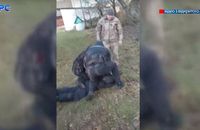 На Волині людолови закували в кайданки батька бійця, який воює на передовій (ВІДЕО)
