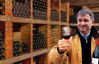 Екс-глава МВС Арсен Аваков почав вирощувати лісові горіхи на Закарпатті