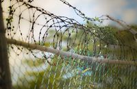 Вдруге за два дні: на Закарпатті знову силовий прорив кордону з Угорщиною