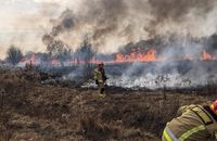 По всій Західній Україні вирують лісові пожежі