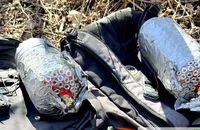 У Тернополі затримали подружжя східняків, яке готувало теракти біля ТЦК