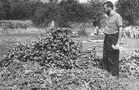 У селі Угли на Рівненщині розпочали пошуки могил жертв УПА